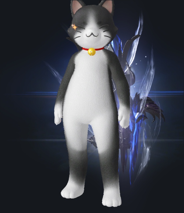 벤카르트