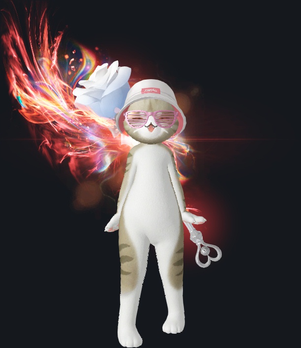 뽀쟈꼬