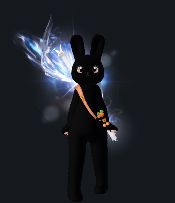귀애