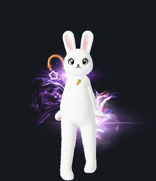 덴버팬