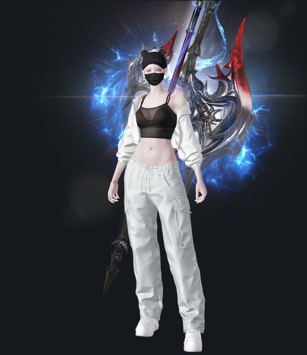 하임디트