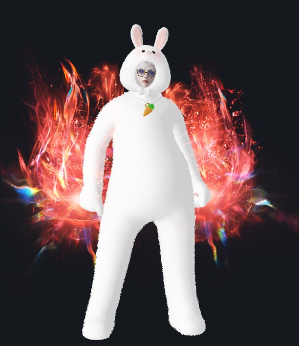 모코코장갑도둑